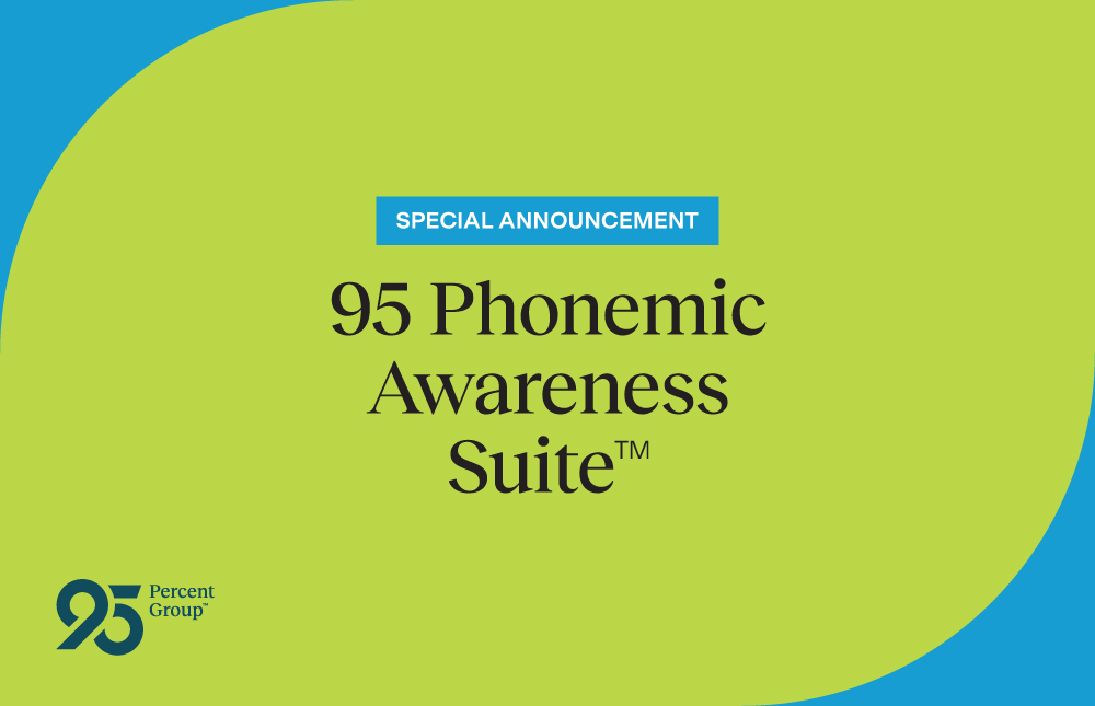 Evidence-Based Phonemic Awareness Program for Young Learners 
